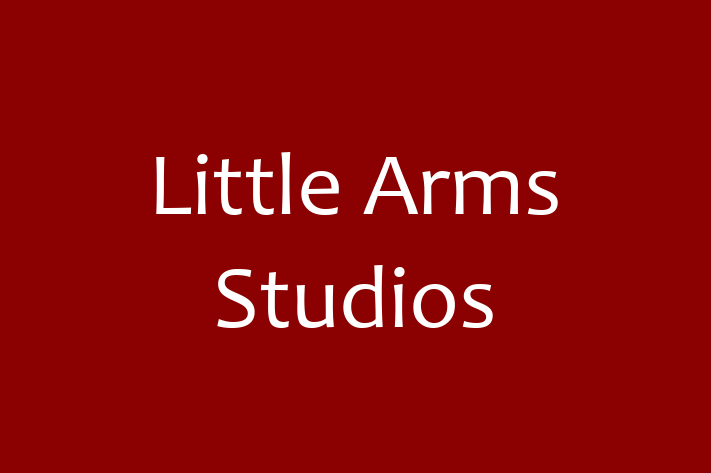 Software Development Company Little Arms Studios