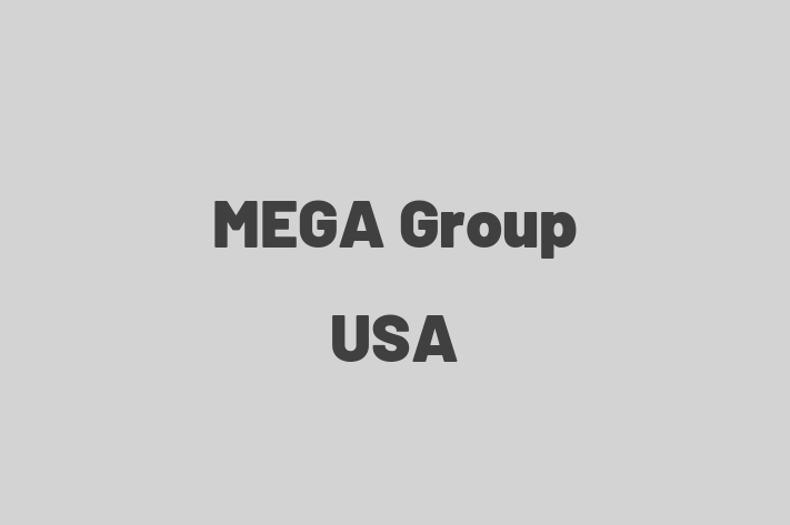 Technology Solutions Firm MEGA Group USA