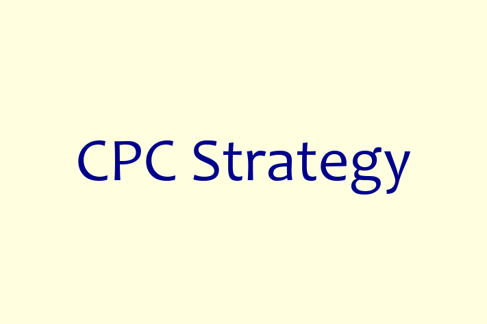 Software Firm CPC Strategy