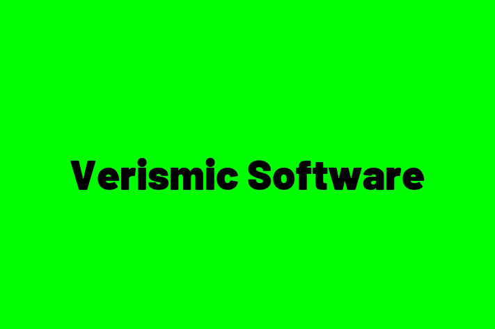 IT Company Verismic Software