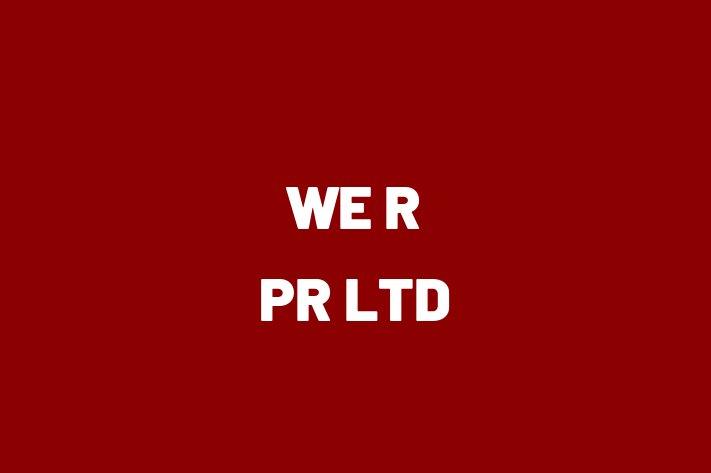 IT Company WE R PR LTD