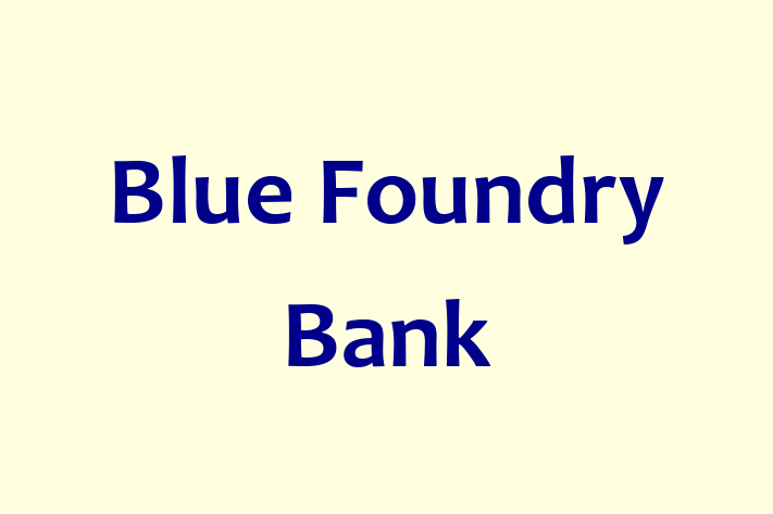 HR Administration Blue Foundry Bank