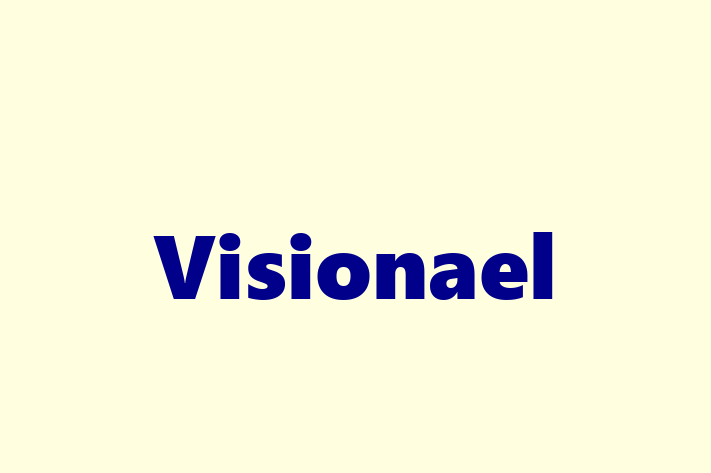 Software Engineering Company Visionael