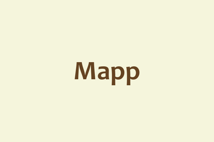 Software Services Company Mapp