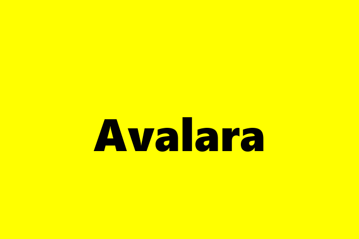 Software Engineering Company Avalara