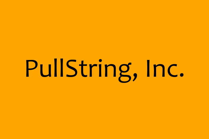 Software Engineering Company PullString Inc.