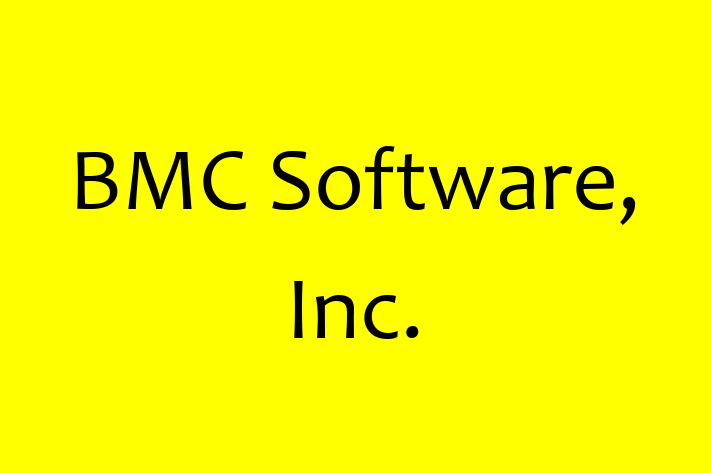 Software Consultancy BMC Software Inc.