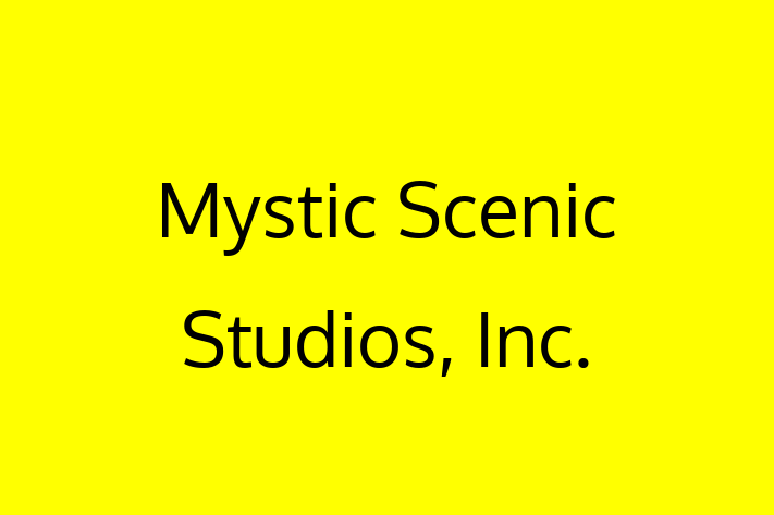 IT Company Mystic Scenic Studios Inc.