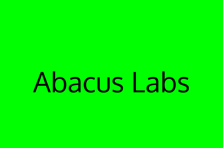 IT Company Abacus Labs