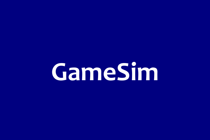 Software Services Company GameSim