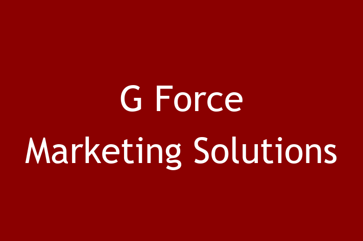 Technology Solutions Firm G Force Marketing Solutions