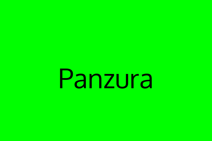 IT Company Panzura