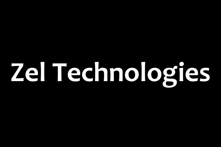 Software Services Company Zel Technologies