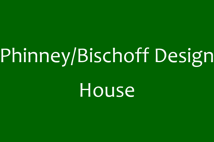 IT Company PhinneyBischoff Design House