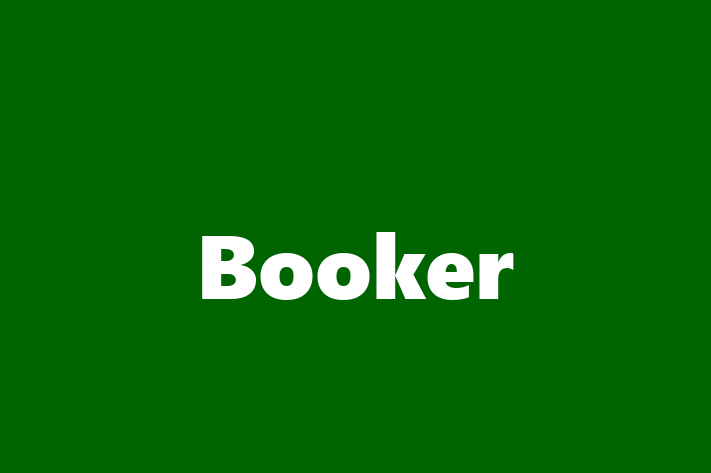 Software Development Company Booker