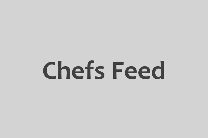 Software Engineering Company Chefs Feed