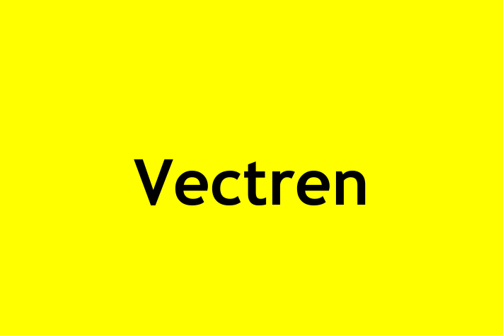 Software Engineering Company Vectren