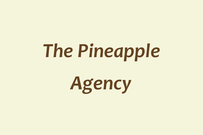 Software Development Company The Pineapple Agency