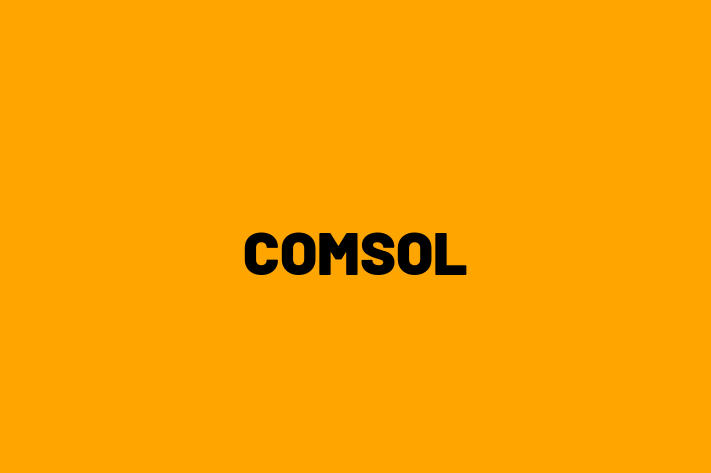 Software Services Company COMSOL