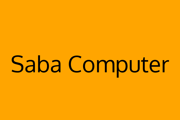 Digital Solutions Provider Saba Computer