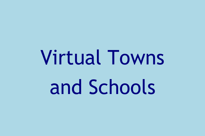 Digital Solutions Provider Virtual Towns and Schools