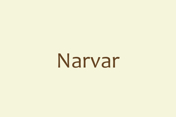 Software Consultancy Narvar