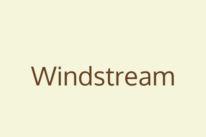 Tech Solutions Company Windstream