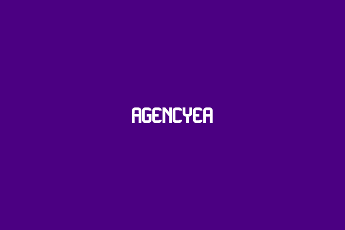 Software Engineering Company AgencyEA