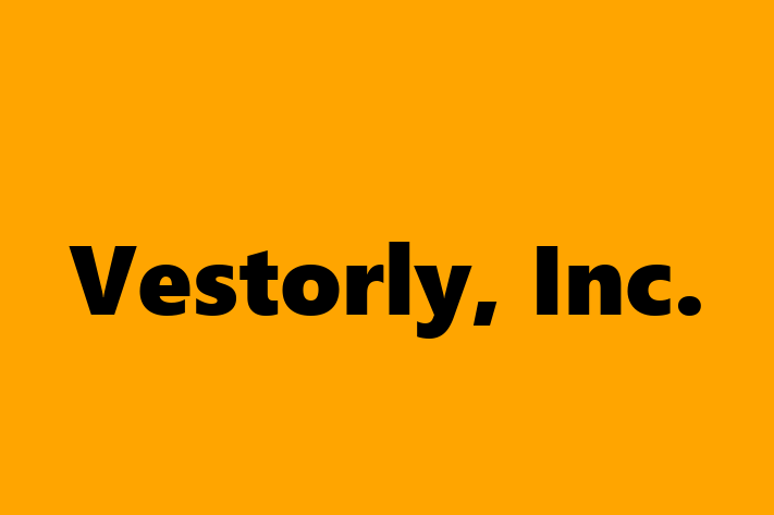 Software Development Company Vestorly Inc.