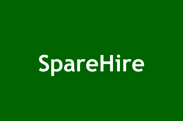 Technology Company SpareHire