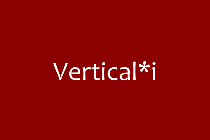 Tech Firm Verticali