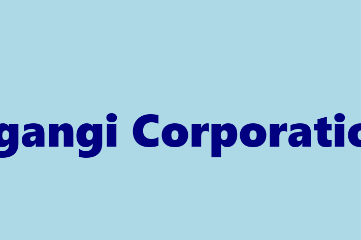 Software Consultancy Ogangi Corporation