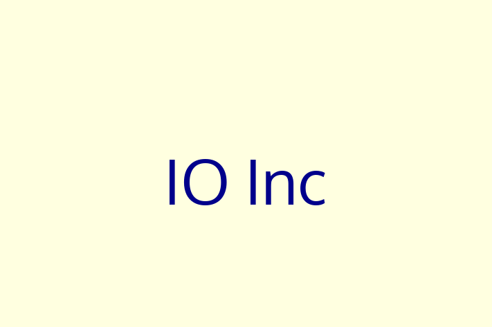 Technology Solutions Firm IO Inc