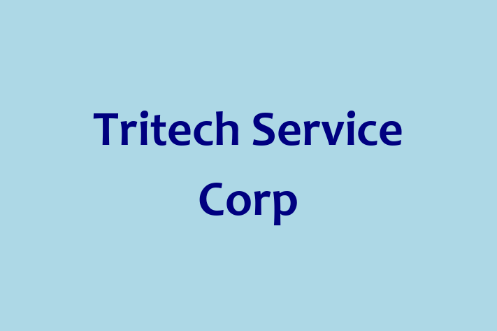 Technology Company Tritech Service Corp