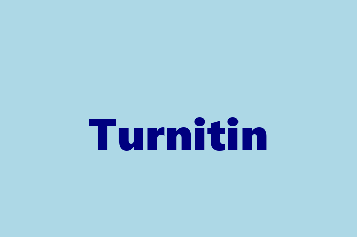 IT Company Turnitin