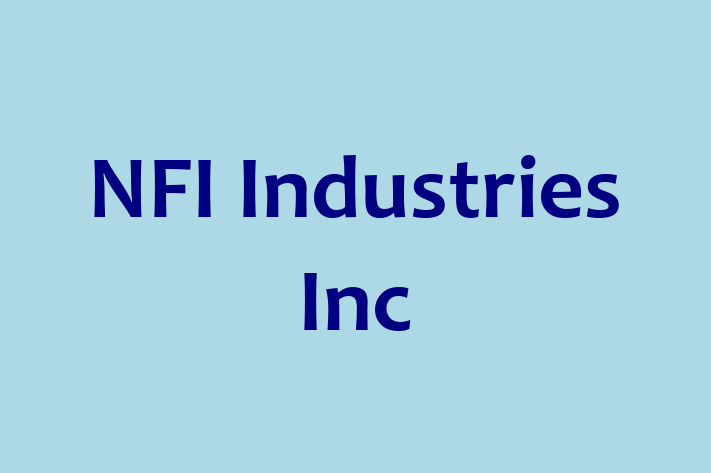 Software Engineering Company NFI Industries Inc