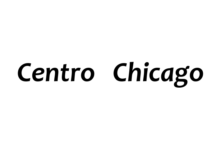 Software Services Company Centro   Chicago