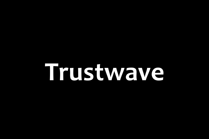 Technology Solutions Firm Trustwave