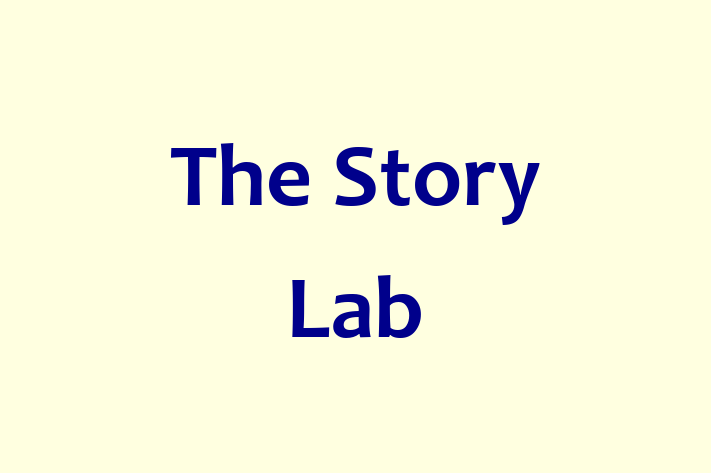 Software Firm The Story Lab