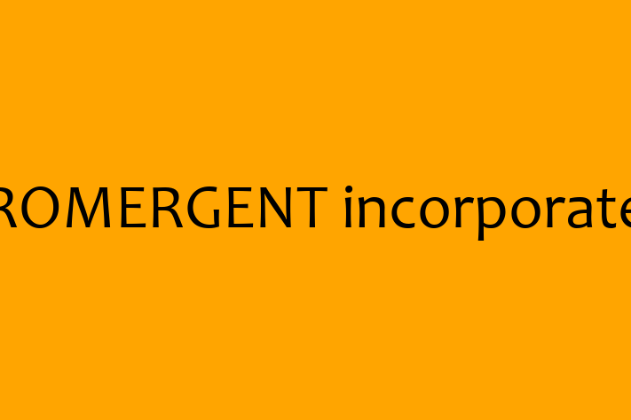 Technology Company PROMERGENT incorporated