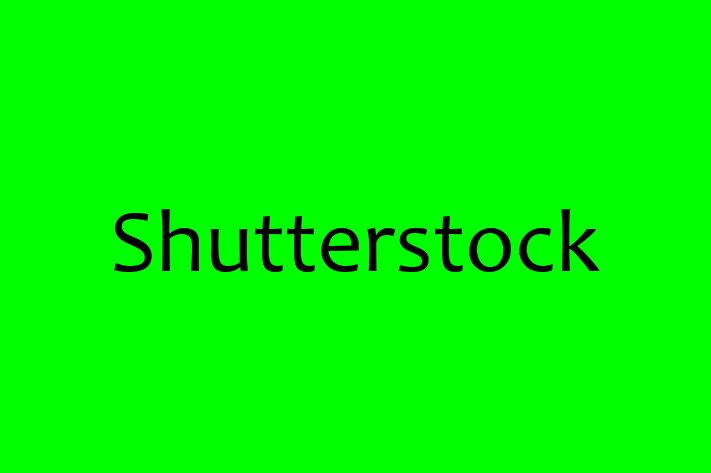 Software Firm Shutterstock