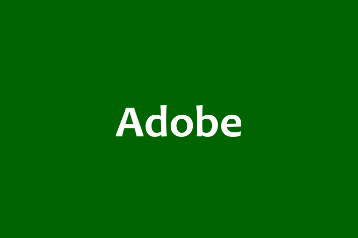 Tech Solutions Company Adobe