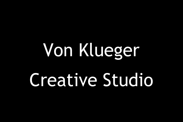 Software Services Company Von Klueger Creative Studio