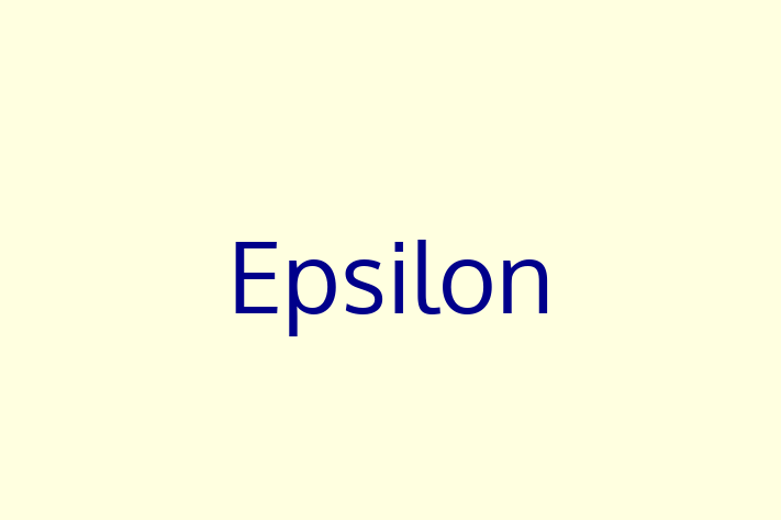 Software Development Firm Epsilon