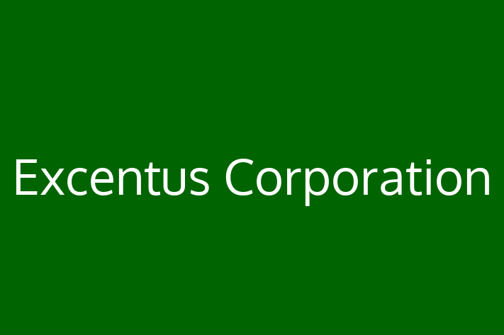 Software Solutions Provider Excentus Corporation