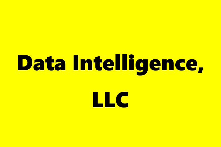 Tech Solutions Company Data Intelligence LLC