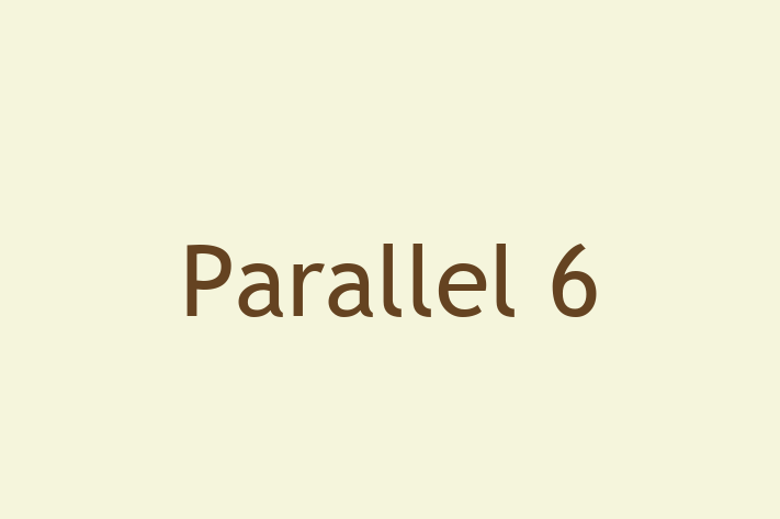 Software Development Company Parallel 6