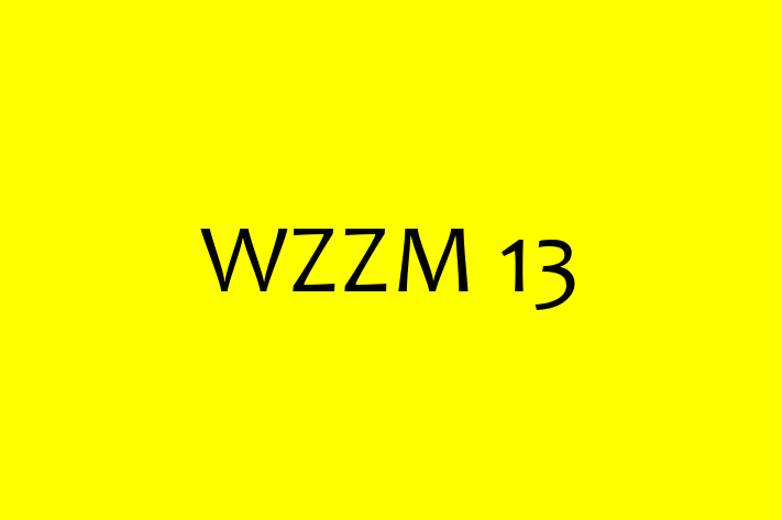 Software Consultancy WZZM 13