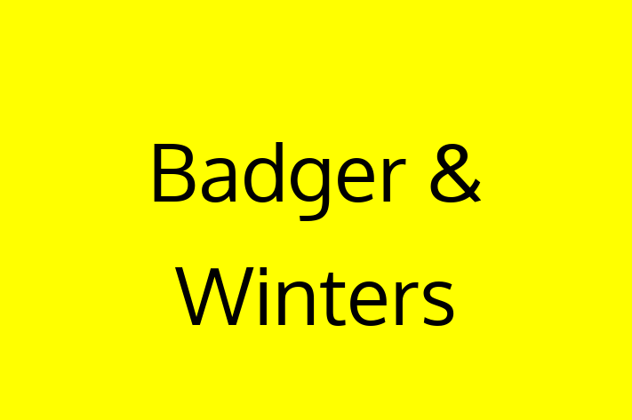 Software Services Company Badger Winters