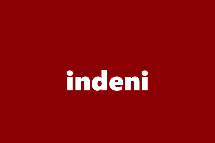 Application Development Company indeni